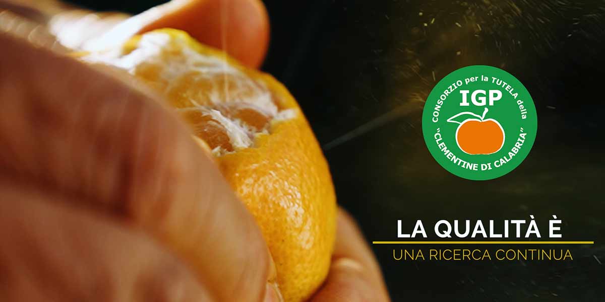 Le clementine Igp di Calabria celebrate da uno spot Rai